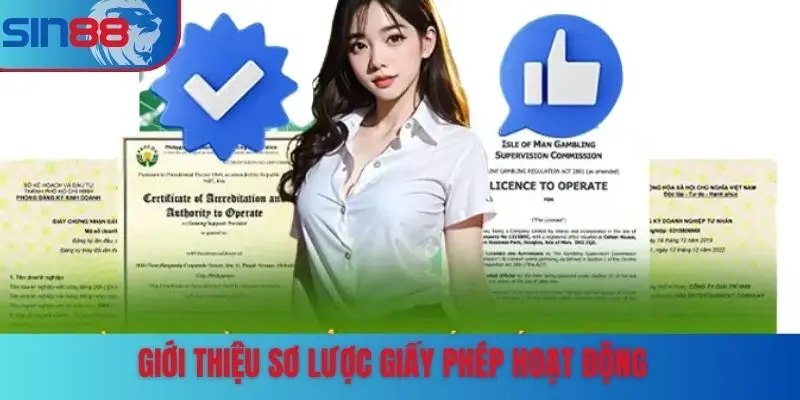 Tìm hiểu khái quát về giấy phép hoạt động