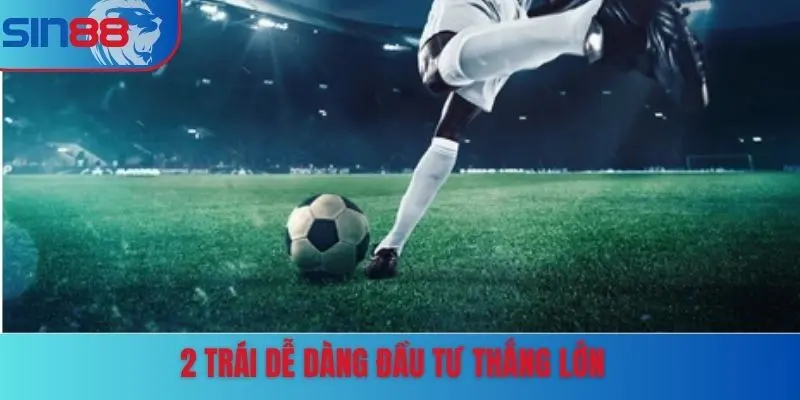2 trái dễ dàng đầu tư thắng lớn