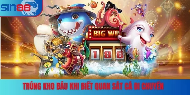 Trúng kho báu khi biết quan sát cá di chuyển
